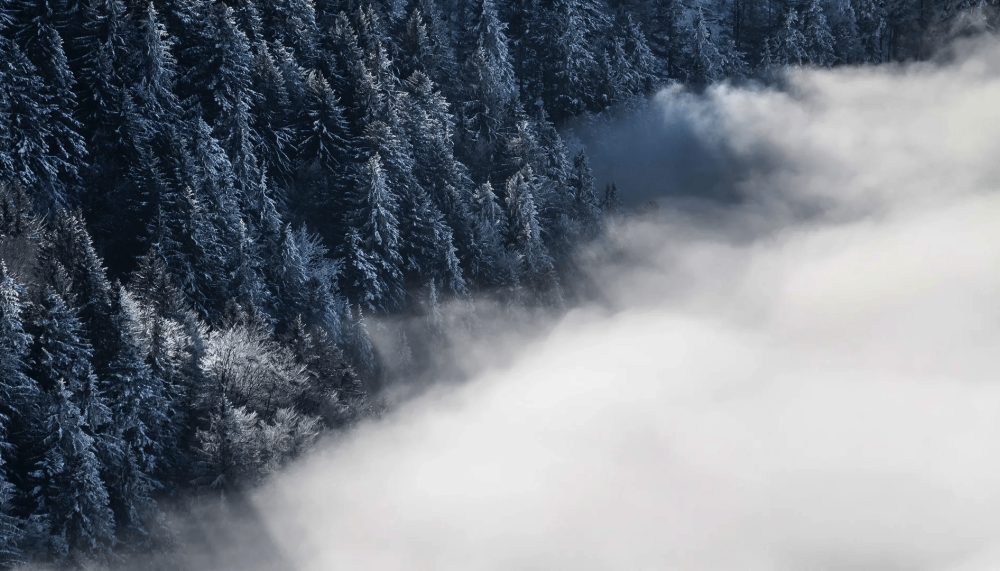 A snow cloud in front of trees in Kopaonik Serbia