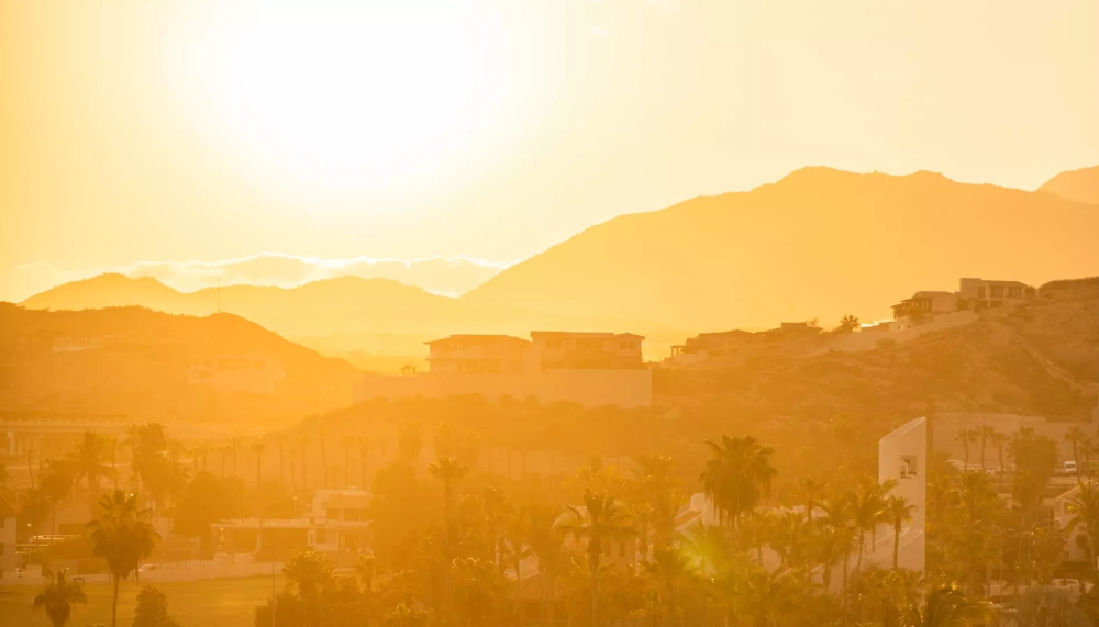 The sun over Los Cabos making everything look golden