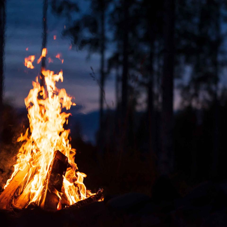 campfire amongst the trees at sunset