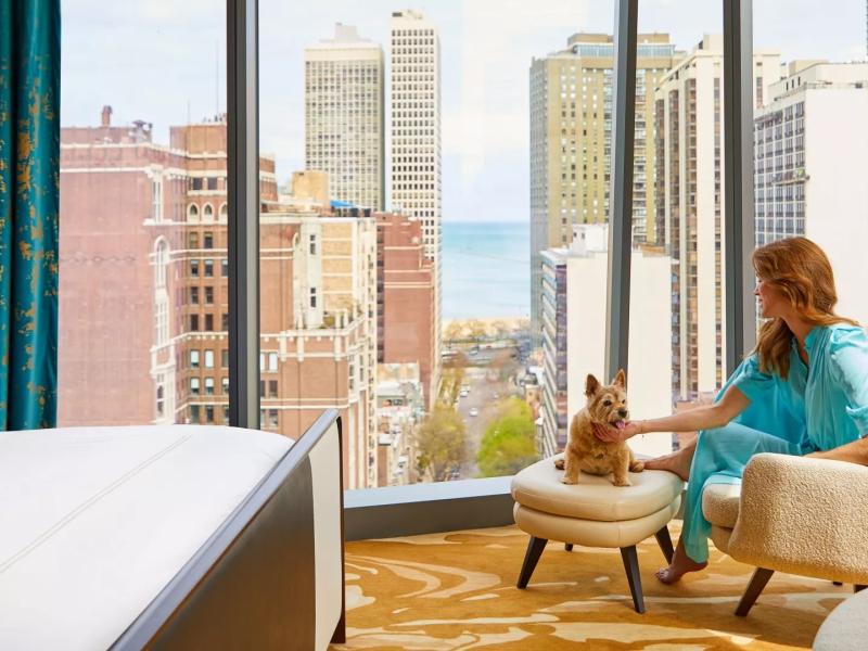 A woman seated in a Viceroy hotel suite scratches her small pet dog, seated on an ottoman